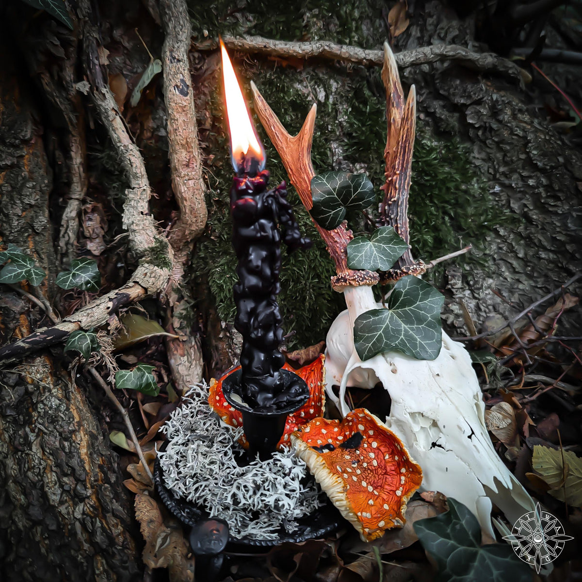 HAG TORCH | Flame of the Wise • Samhain • Solstice • protection • ancestral rituals • vision • handpicked Mullein dipped in black beeswax